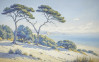 Sandy Coast