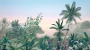 Matin