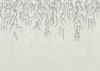 Branches