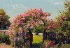 Rose Garden