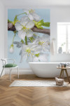 Blossom