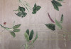 Tropic Concrete