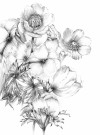 Embroidery