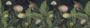 Flowerly