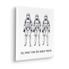 Star Wars Stormtrooper Group Photo