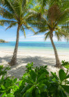 Palmy Beach