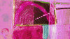Gates Opening pink
