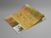 Poppy World I