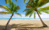 Caribbean Days II