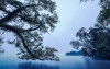 Blue Waters