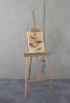 Pressed Leaves