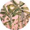 Botany