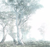 Magic Trees