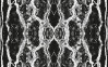 Oak Bark black-white
