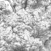 Arbre