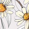 Danse des Fleurs