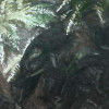 Selva