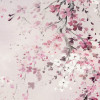 Kirschblüte
