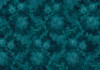 Fleurs de Nuit