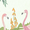 Flamingo Vibes