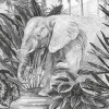 Jungle Evolution