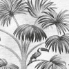 Jungle Evolution
