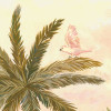 Tropical Vintage Garden