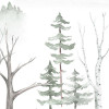 Cozy Woods