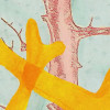 Catchy Corals
