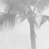 Salty Sea