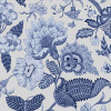 Bleuet