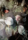 Night Flowers