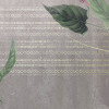 Tropic Concrete