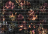 Tiles Flowers