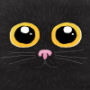 Black Cat