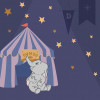 Starry Night with Dumbo