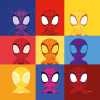 Spidey Symmetry
