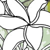 Hortus
