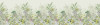 Hortus