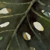 Jungle Spot