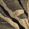 En Détail