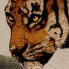 Tiger Jungle