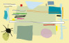 Composition 1 yellow-green