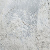 Flower Fossil