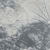Flower Fossil