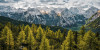 Wild Dolomites
