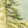Indulgence of Beauty