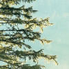 Indulgence of Beauty