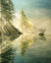 Indulgence of Beauty