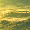 The Shire